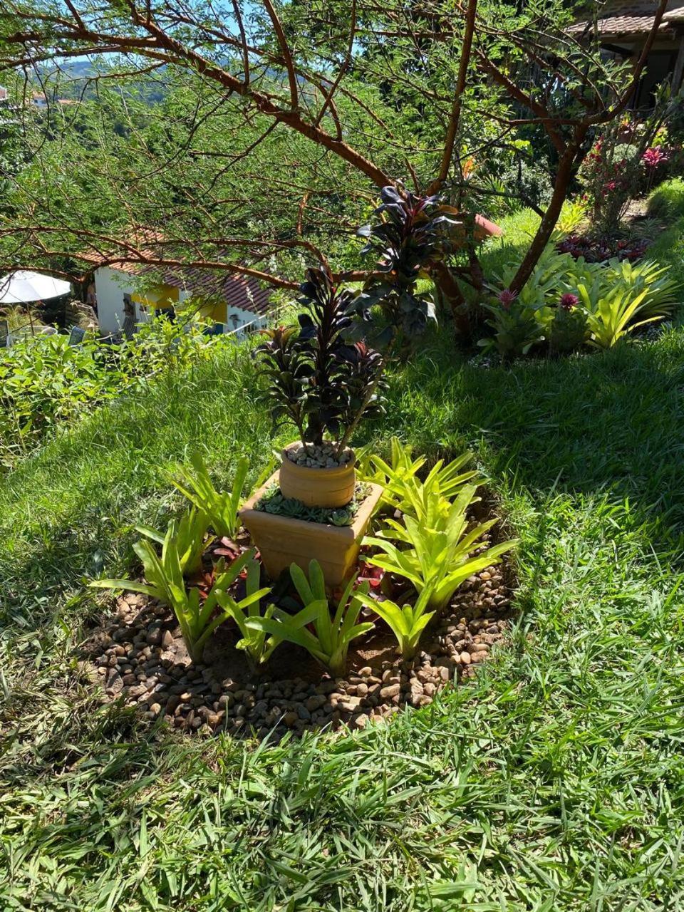 Pousada Casa Do Ipe Amarelo Miguel Pereira Buitenkant foto