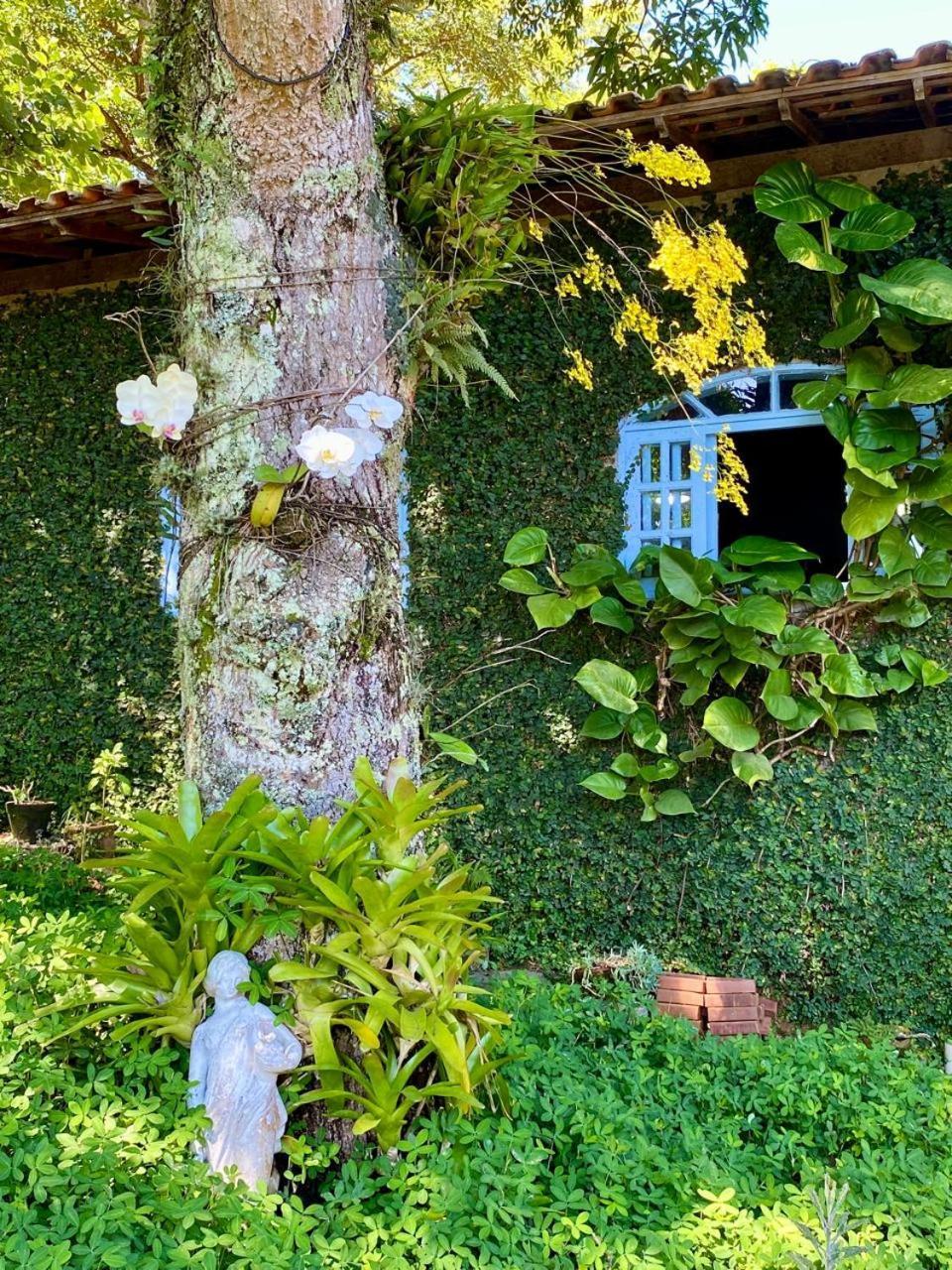 Pousada Casa Do Ipe Amarelo Miguel Pereira Buitenkant foto