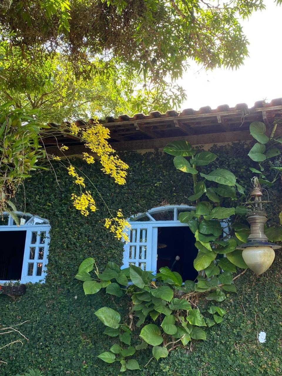 Pousada Casa Do Ipe Amarelo Miguel Pereira Buitenkant foto
